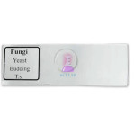 Fungal Yeast Reproduction Prepared Slide